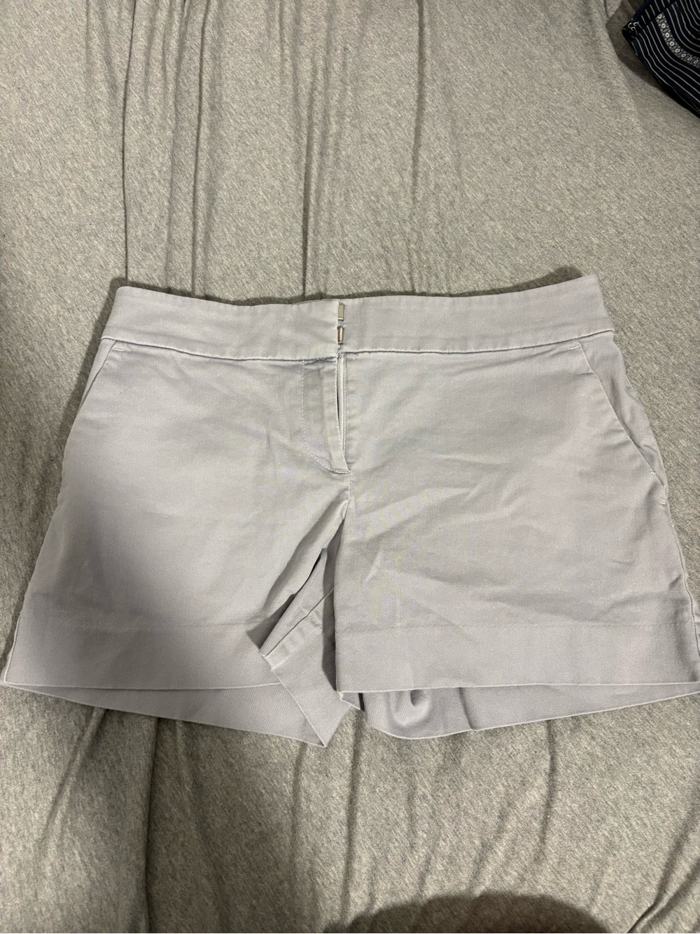 LOFT Light Gray Tailored  Shorts